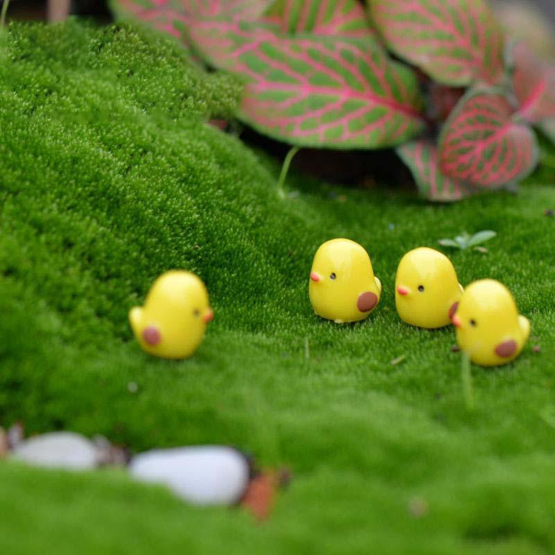 Mô hình gà con mini | Phụ kiện tiểu cảnh sen đá - Terrarium
