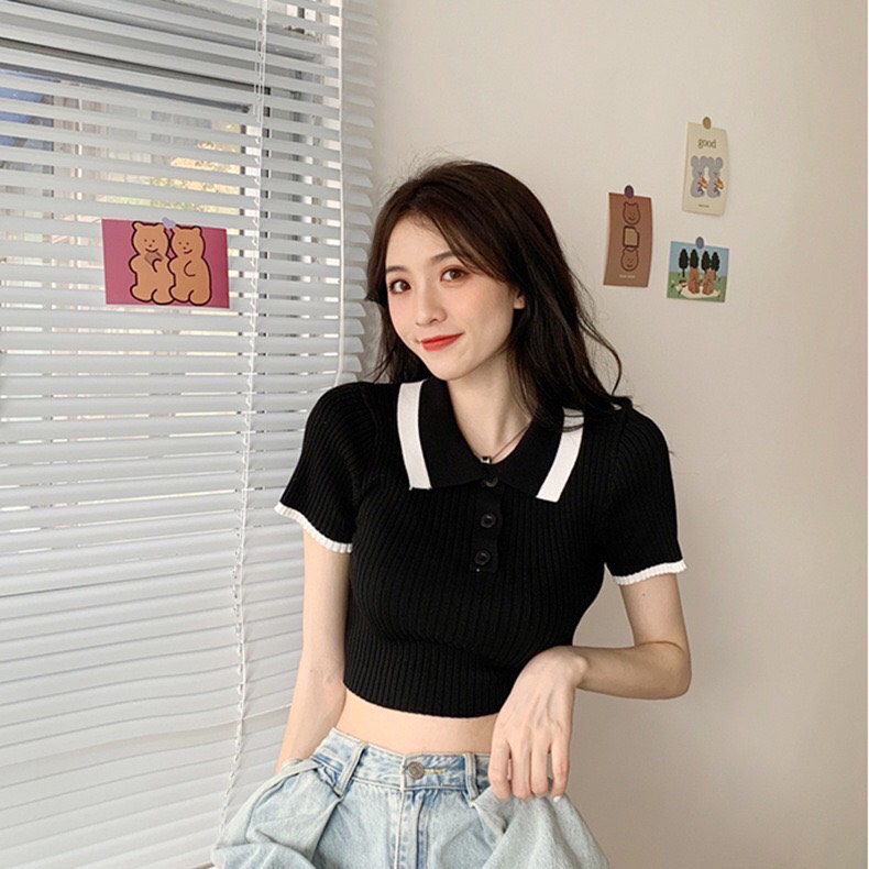 Áo thun gân đũa cổ polo croptop viền sọc cổ màu croptop MC