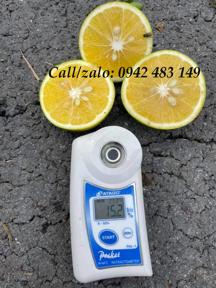 [HCM]Máy đo độ ngọt - độ brix điện tử PAL1. Hiệu Atago - Nhật