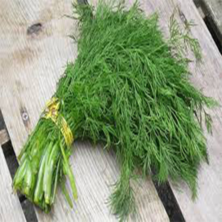 Hạt giống rau thì là 5 gram