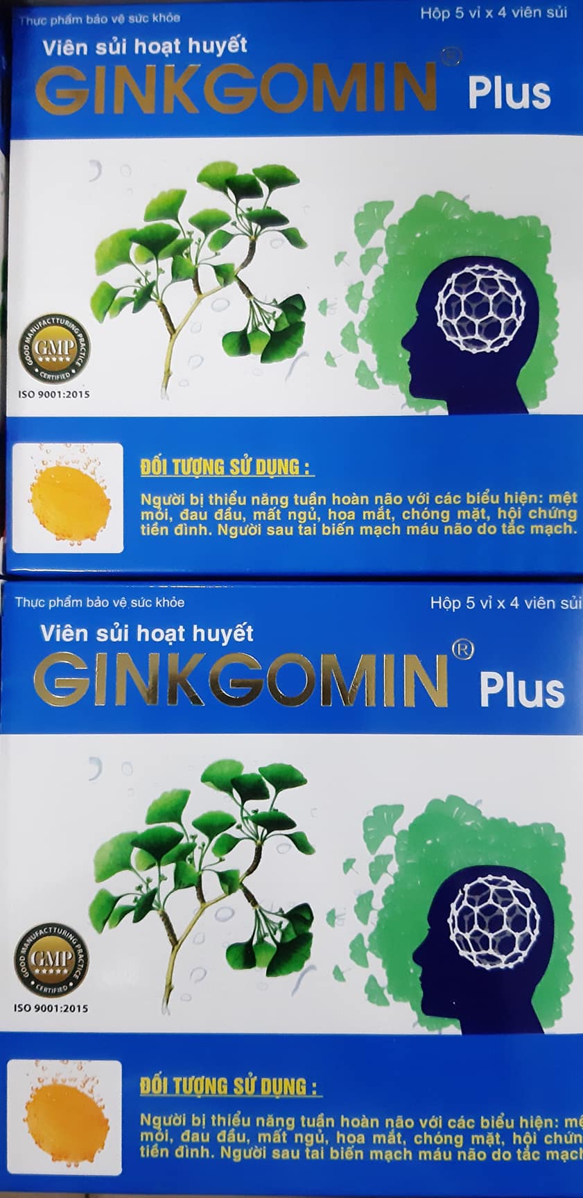 VIÊN SỦI HOẠT HUYẾT GINKGOMIN Plus