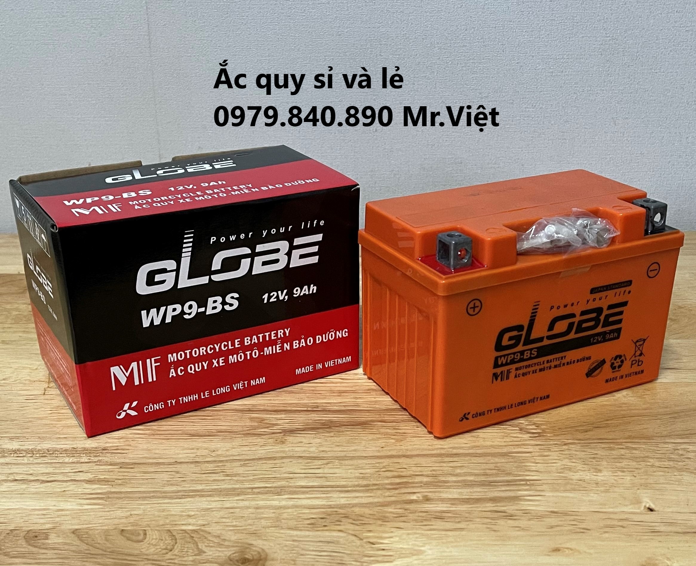 Bình ắc quy Globe WP9-BS 9.0Ah - KT: 150 x 87 x 105 (dài x rộng x cao) Bình ắc quy khô cho xe Spacy , Attila , Excel , Shark ...