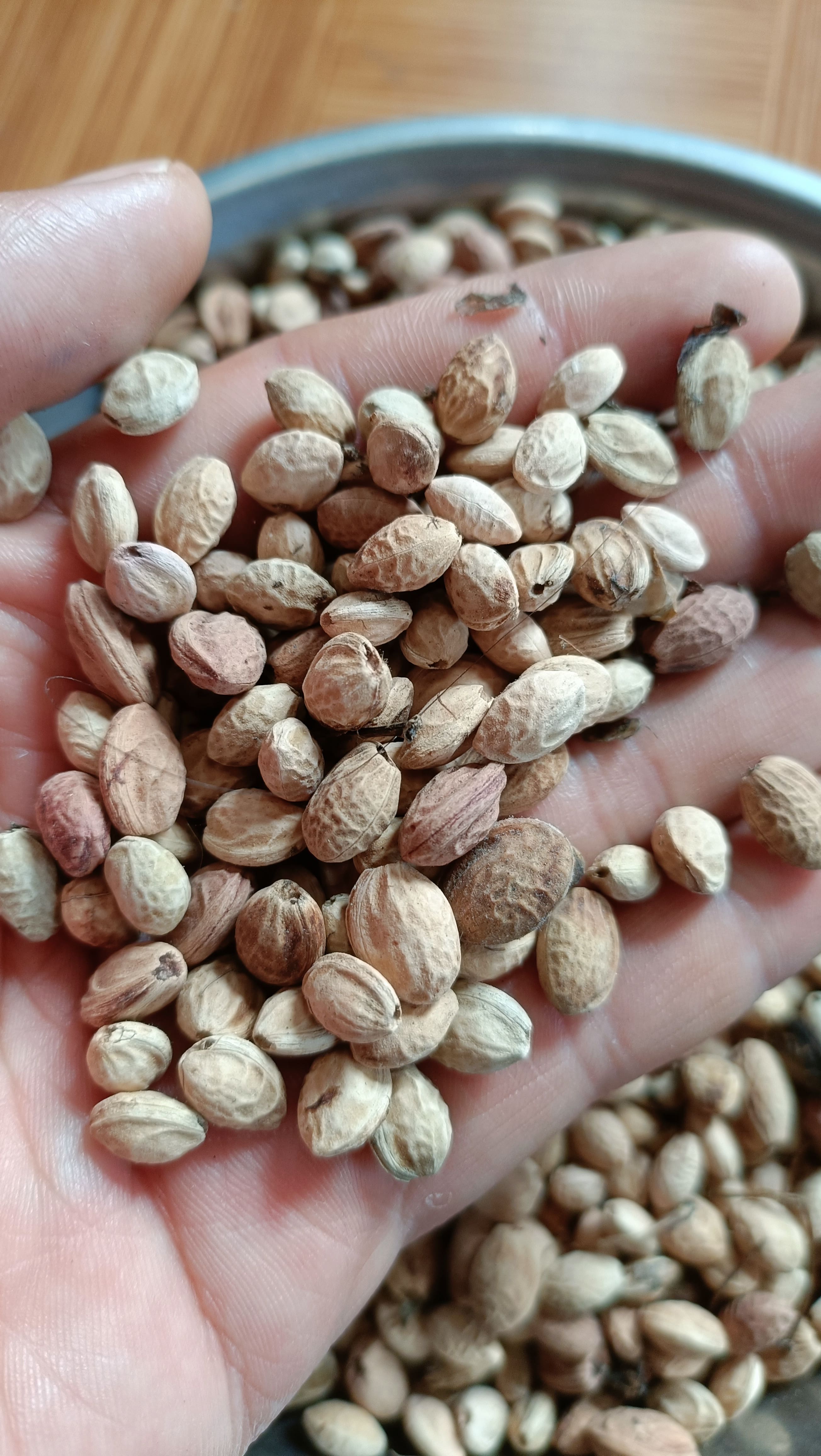 50gram hạt mai hoa đào
