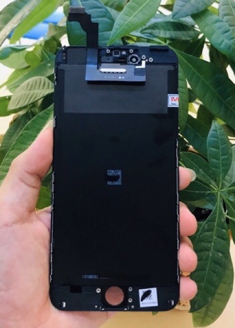 Màn hình IP 6 plus Zin máy. Bảo hành 3 tháng sử dụng