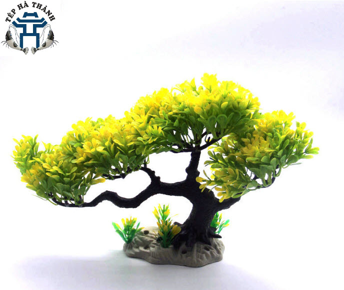 [Hoàn Tiền 10%] Lũa Bonsai Mini Trang Trí Bể Cá - Bể Thủy Sinh (D:20cm C: 15cm)