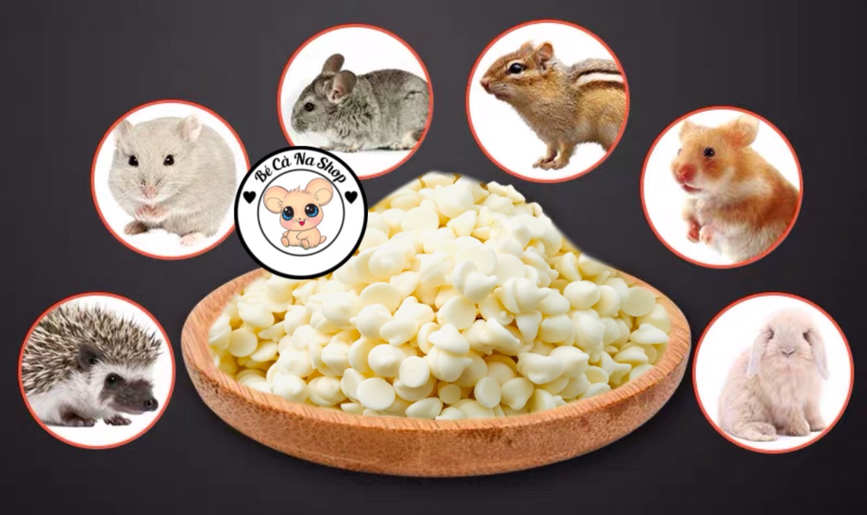 phô mai sữa tươi viên drop cho hamster