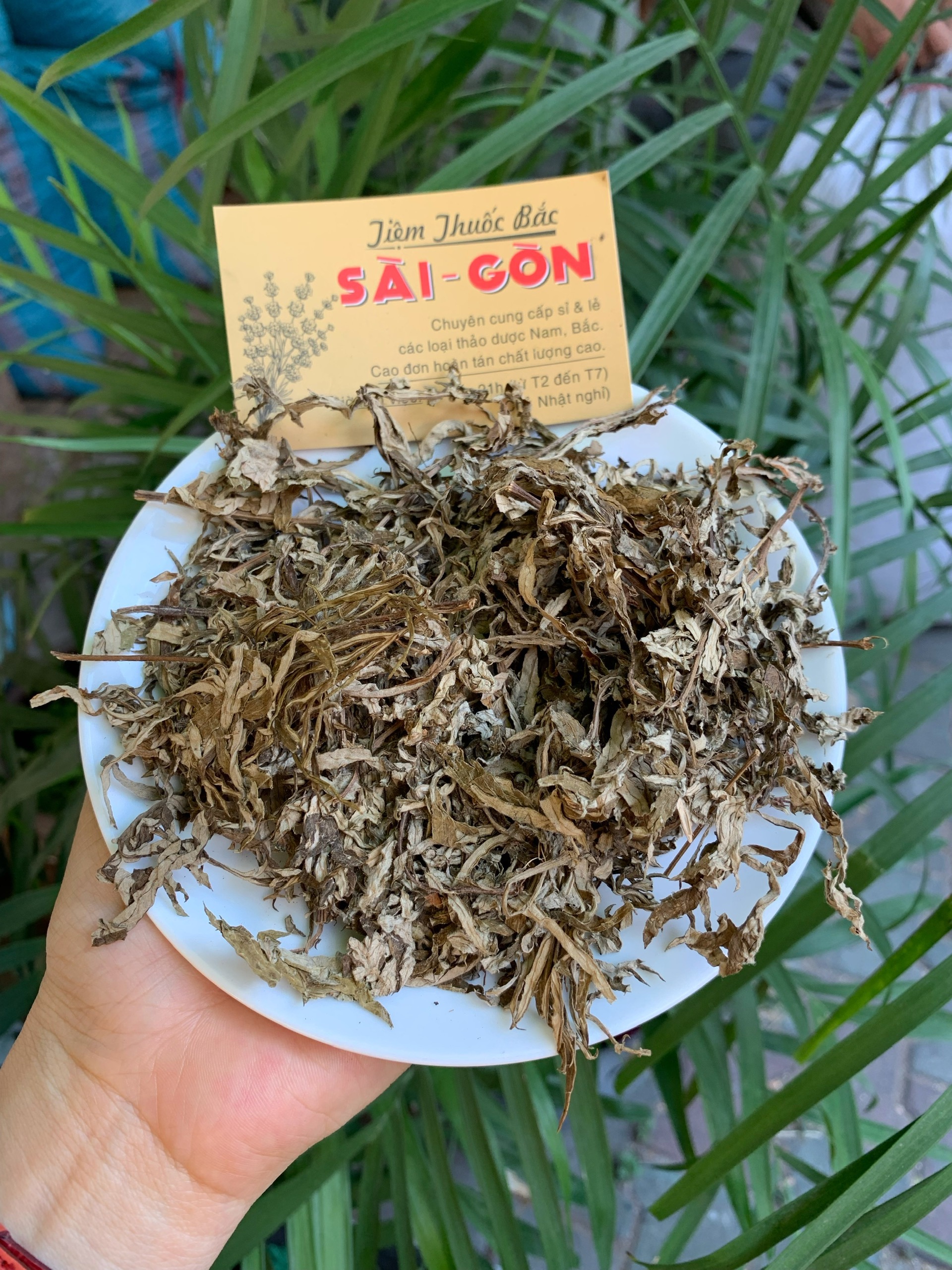 Lá ngãi cứu khô 100gram
