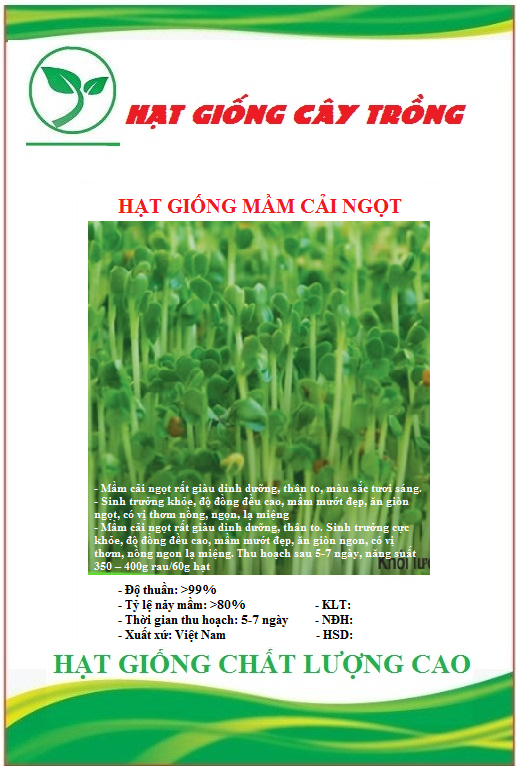 Hạt giống mầm cải ngọt ct538 - gói 20gram_chhg