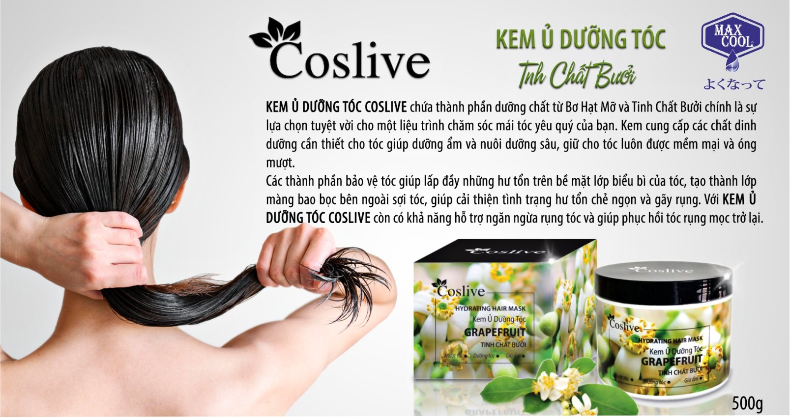 1 hộp Kem ủ dưỡng tóc tinh chất bưởi (Coslive Hydrating Hair Mask) 500gr