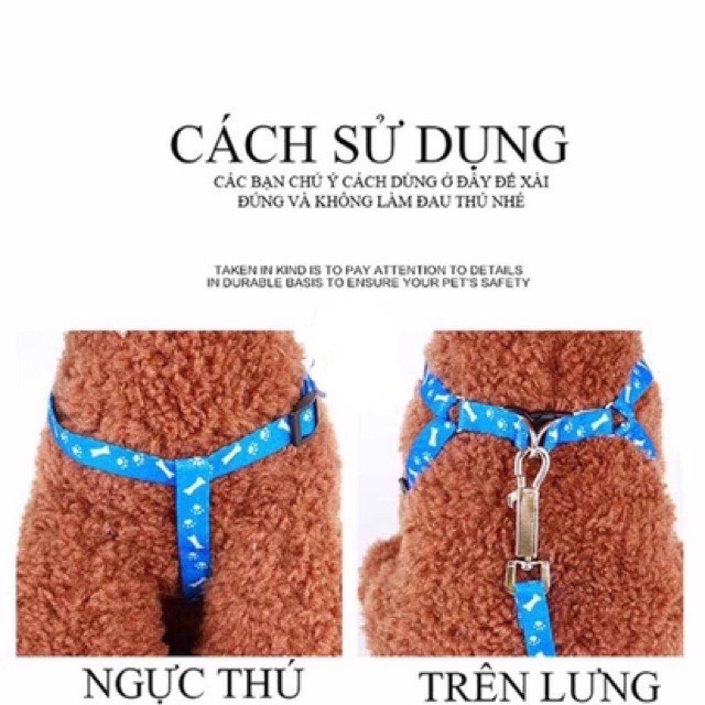 Dây dắt + yếm thú cưng từ 1-20kg