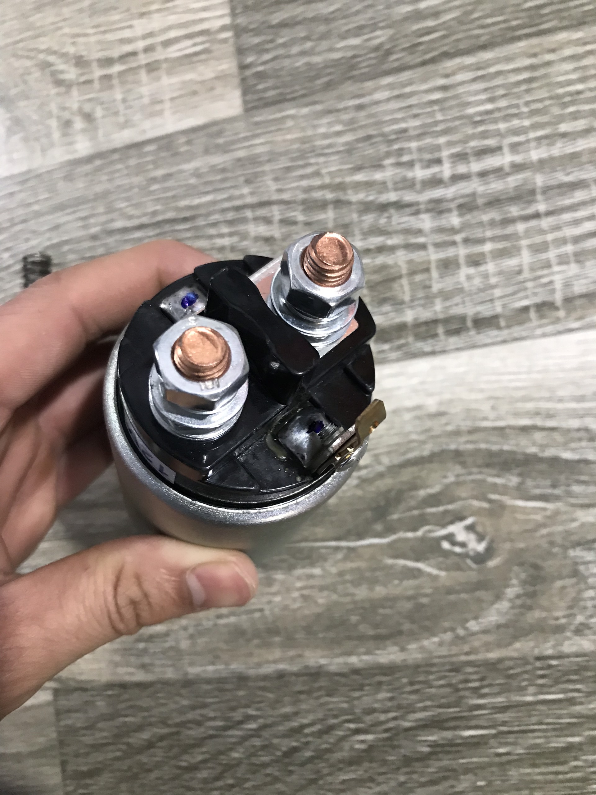 Chuột đề 1 tấn 12v 24v