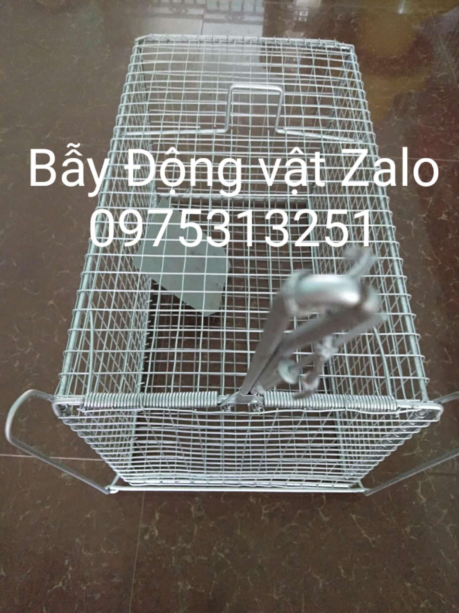 Bẫy mèo hoang cỡ đại