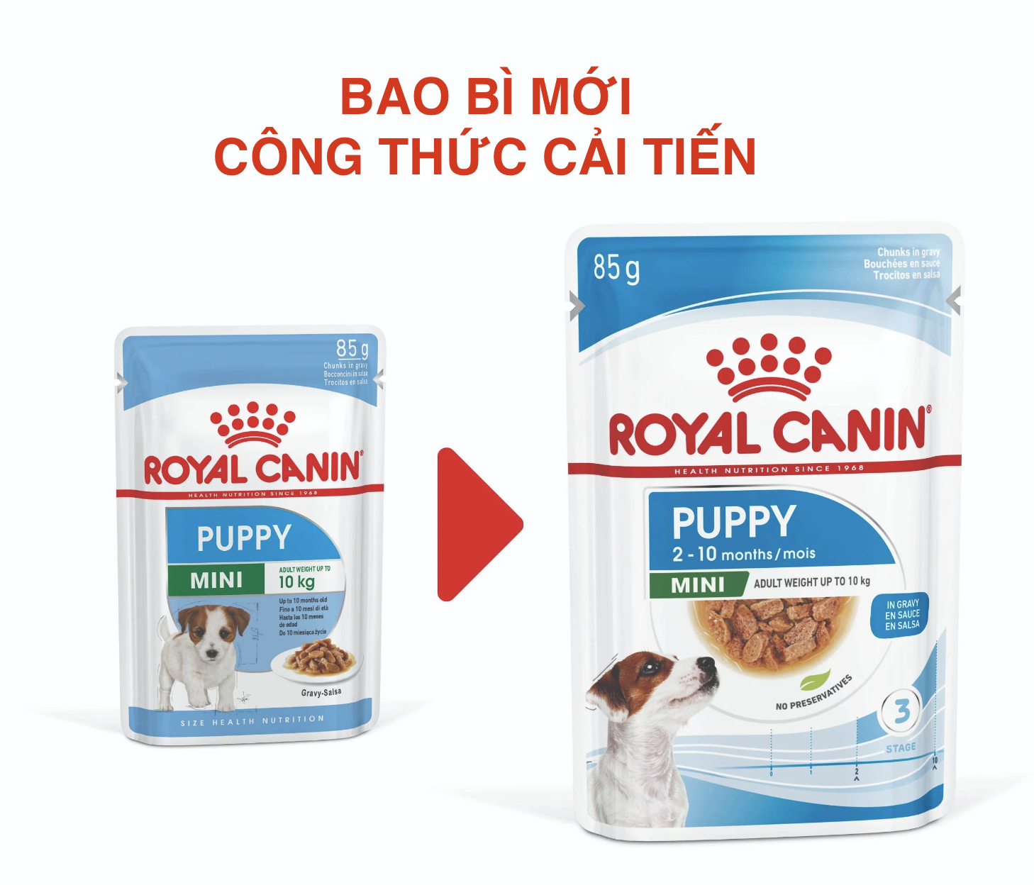Pate Royal Canin Mini Puppy 85g cho chó con