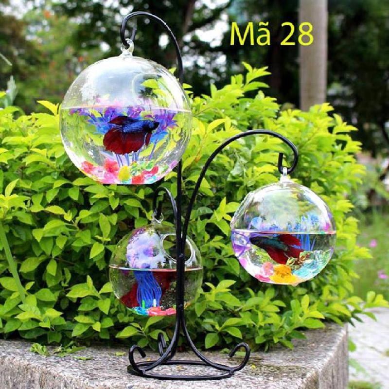 Bể cá mini Tam Trụ để bàn