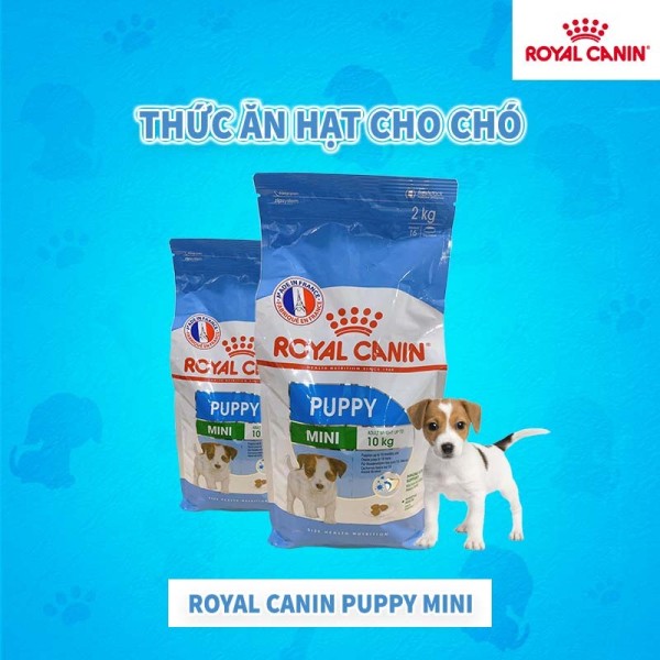 Hạt Royal Canin Mini Puppy Cho Chó Con Giống Nhỏ thuc an chó đồ ăn cho chó hạt cho chó thức ăn cho chó con thức ăn chó con thức ăn hạt cho chó hạt cho chó con