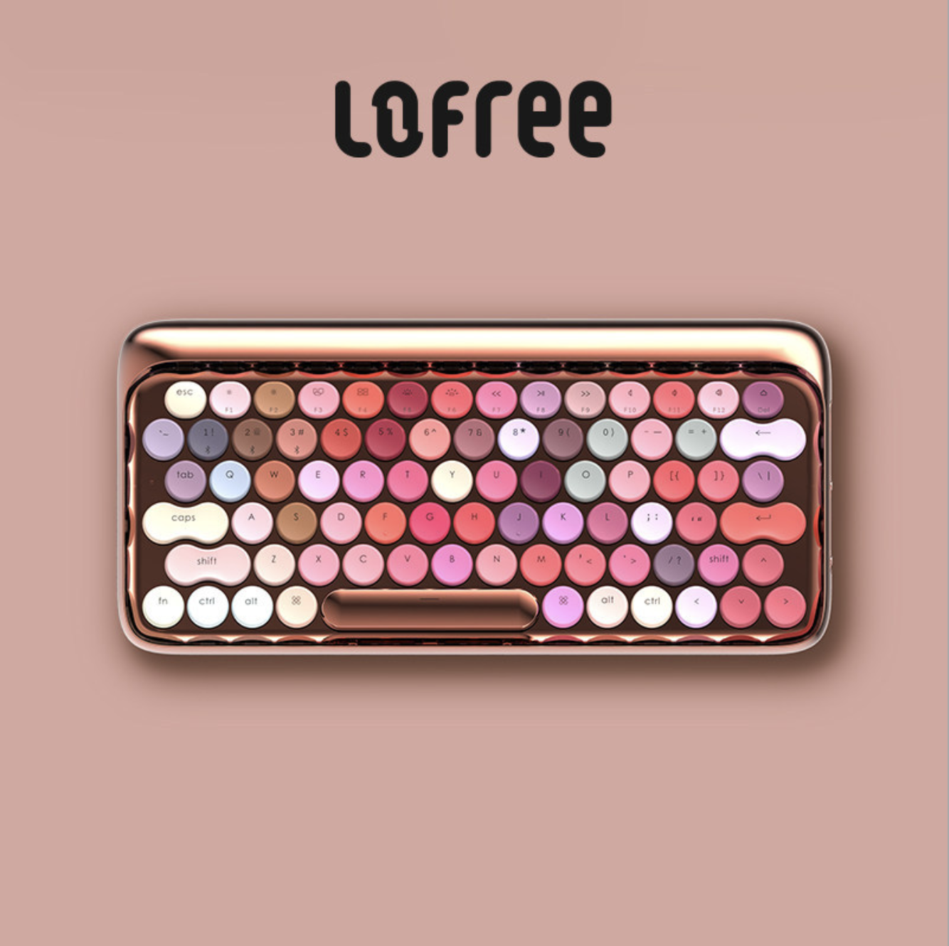 BỘ MAKEUP LOFREE (ROSE GOLD VERSION)