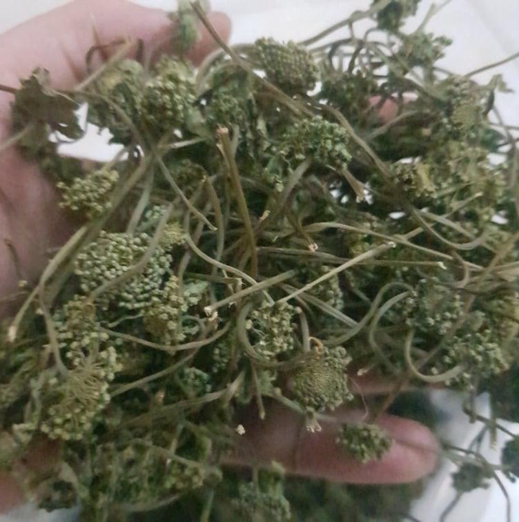 Nụ hoa tam thất khô 500g