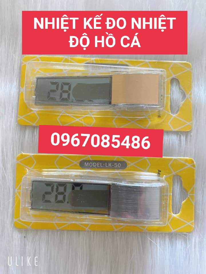 Nhiệt Kế Dán Hồ Cá Đo Nhiệt Độ Hồ Cá