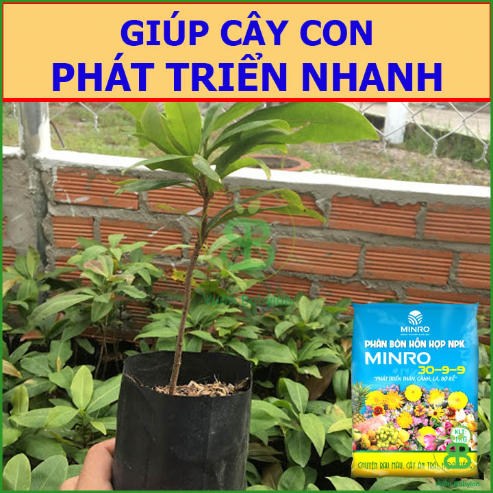 Phân Bón NPK MINRO 30-9-9 1kg (Phát Triển Thân Lá Cành)