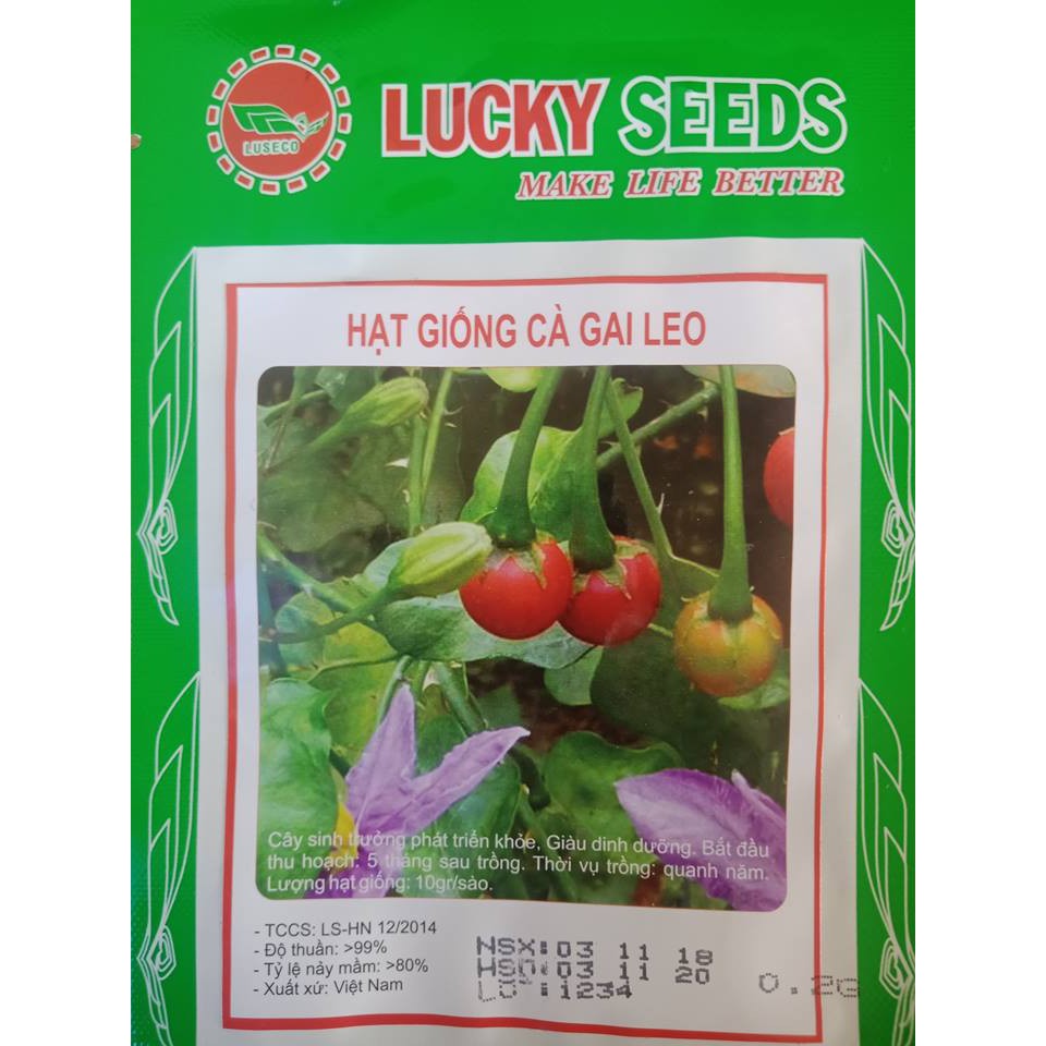 Hạt giống cây cà gai leo -0.2gr