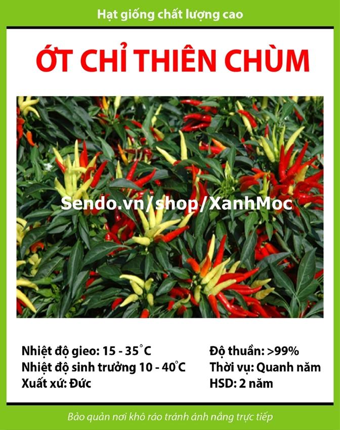 Hạt giống Ớt chỉ thiên chùm