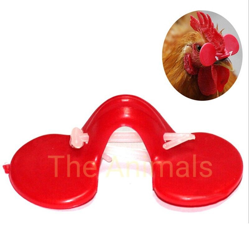 [HCM]Kính chống mổ lông ở gà set 10 cái