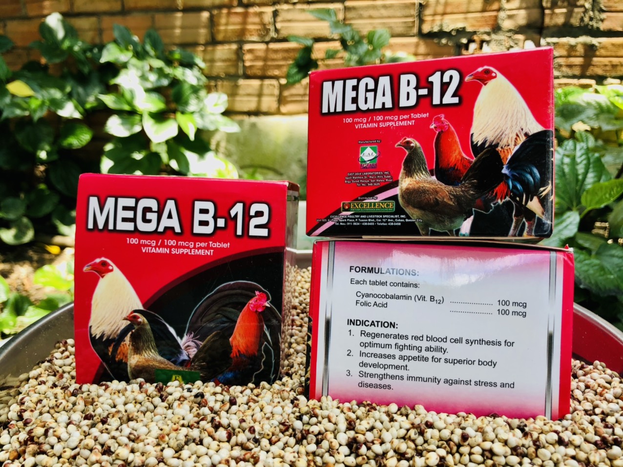 Mega B12 dinh dưỡng cho gà đá
