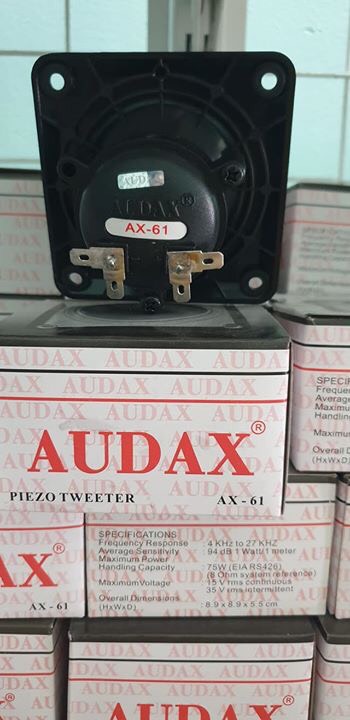 [HCM]Loa ru nhà yến ax61