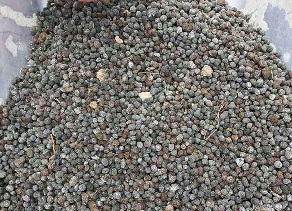 Phân bón dê đã qua xử lý gói 1kg