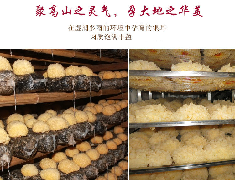 Nấm Tuyết Thượng Hạng 500g