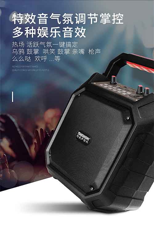 [HCM]Loa karaoke mini Temeisheng A6-7
