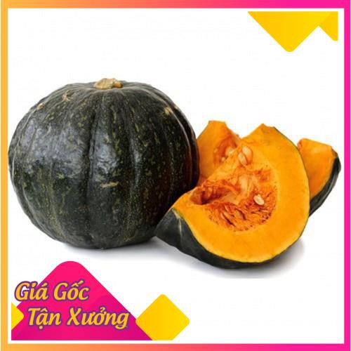 [HCM]Khu Vườn Hạt Giống Bí Đỏ Da Xanh Nguyên Gói Nhập Khẩu Tặng Kích Thích Nảy Mầm .
