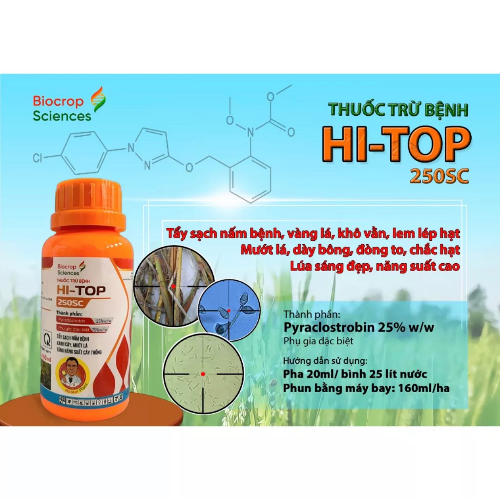 Thuốc trừ bệnh HI-TOP 250SC của Biocrop Sciences