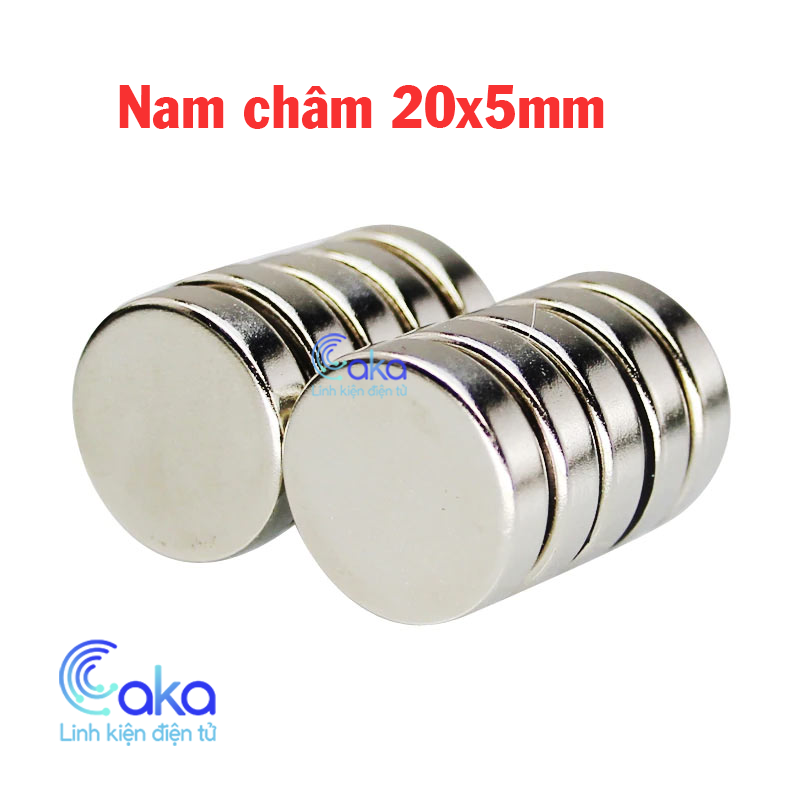 Nam châm đất hiến 20x5 loại tròn