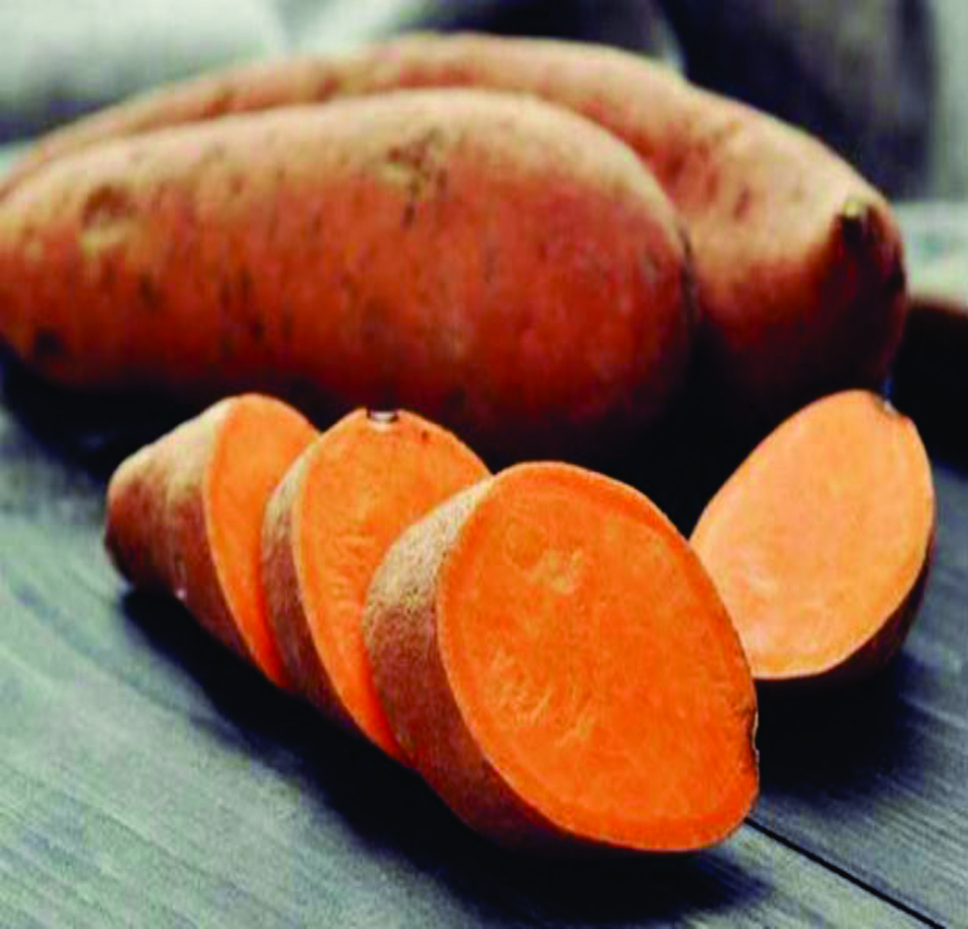 Mồi khoai lang Ủ câu cá chép, trôi - Mè - 1Kg