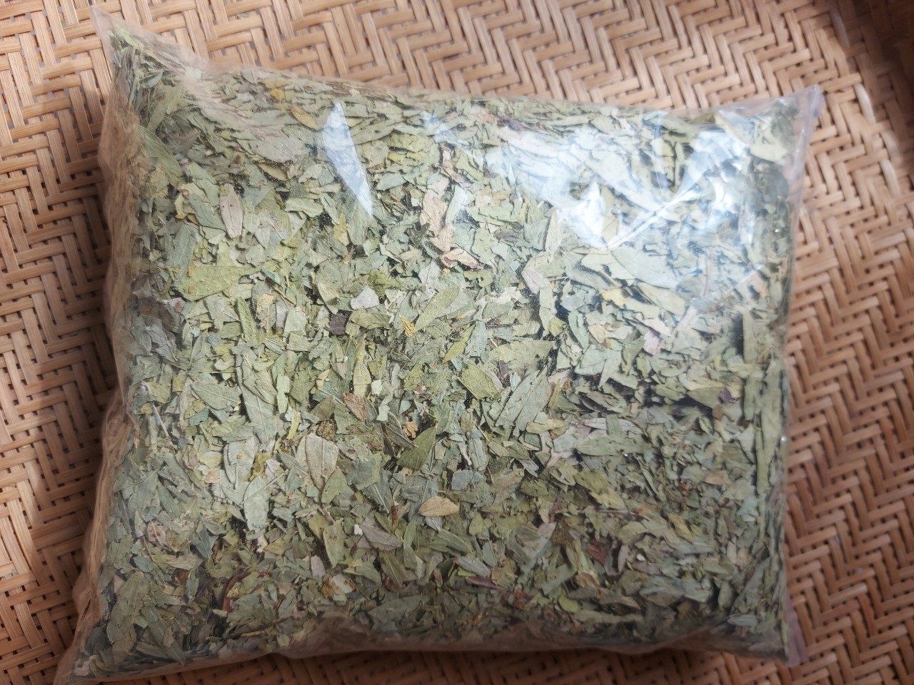 PHAN TẢ DIỆP