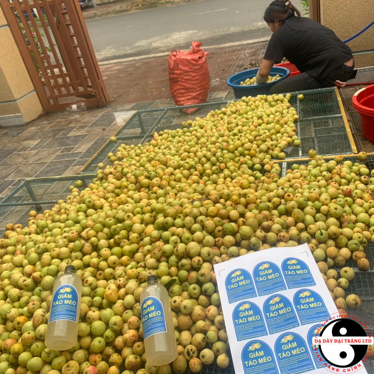 Giấm táo mèo giảm cân loại 1 , giấm táo mèo hữu cơ organic nguyên chất. Dấm táo mèo giảm cân, mỡ bụng