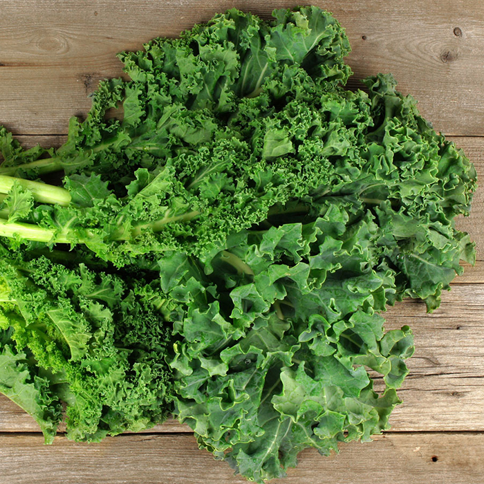 HẠT GIỐNG CẢI XOĂN - CẢI KALE