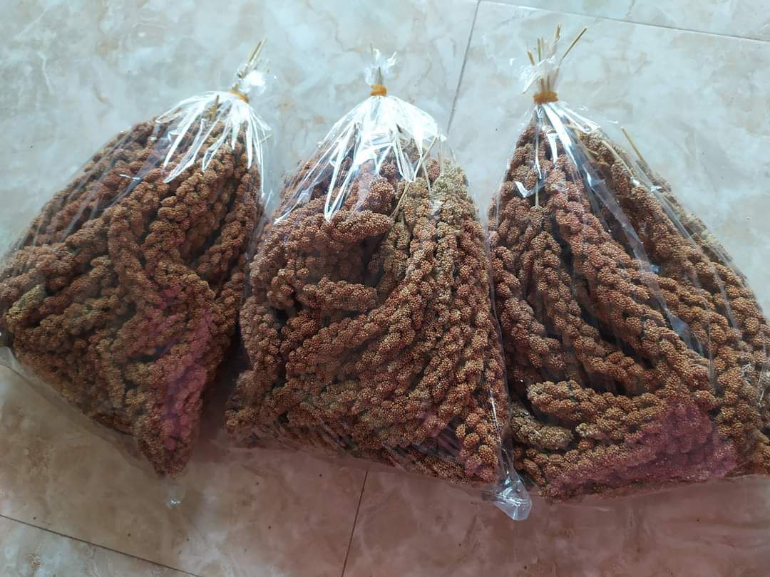 1kg kê nếp hút chân không