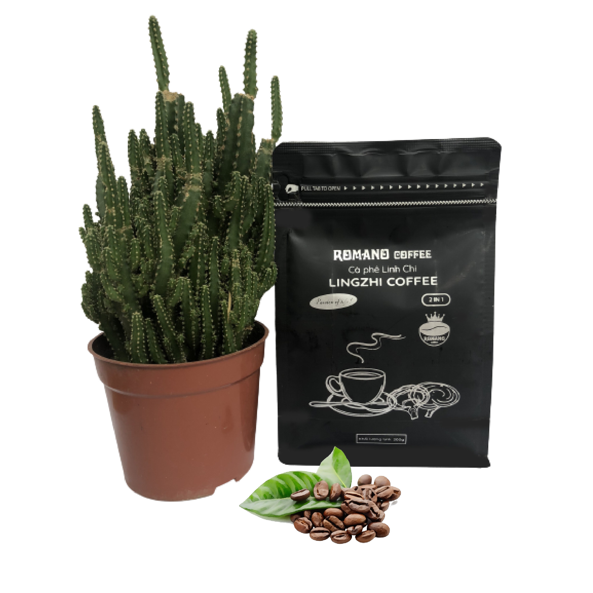 RomanoCoffee Cà phê Linh Chi 2in1 (Gói 200gr)
