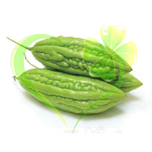 Hạt giống khổ qua f1 trái ngắn - gói 2 gram