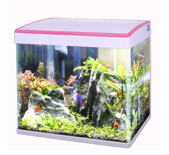 Bể kính đúc uốn góc Bể cá cảnh. Bể nhập khẩu Minjiang. Đã gồm lọc và đèn.