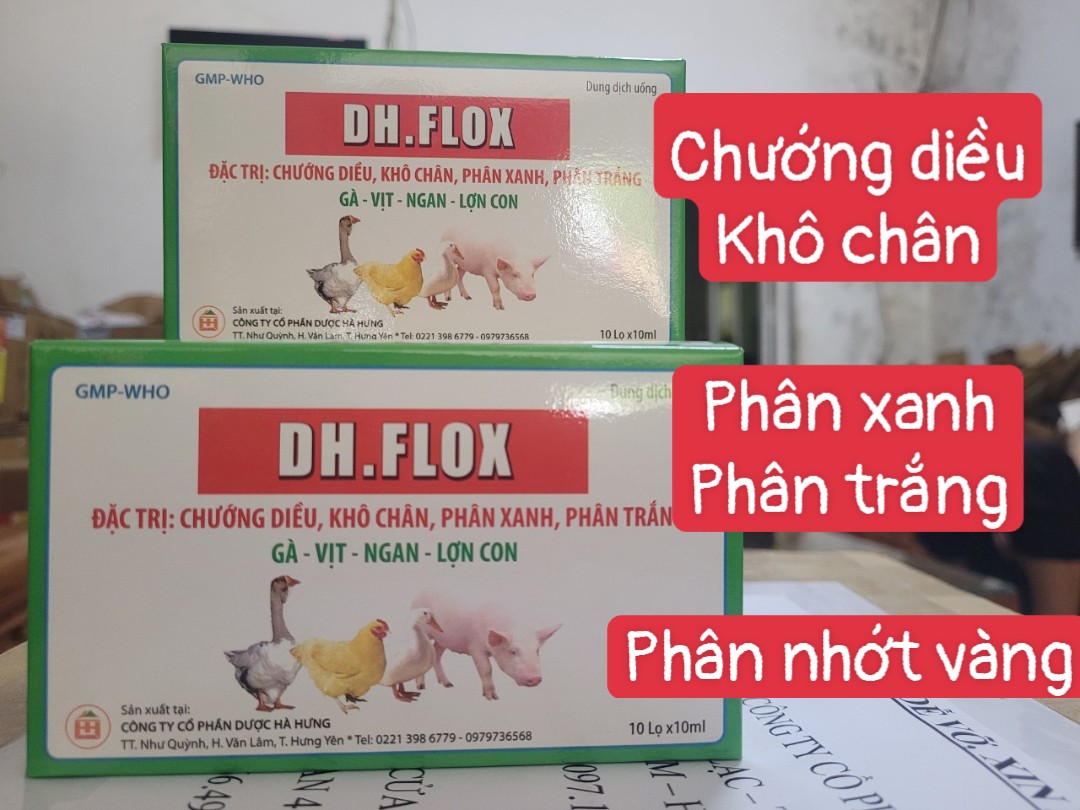 DH. Flox 10ml dùng trong thú y