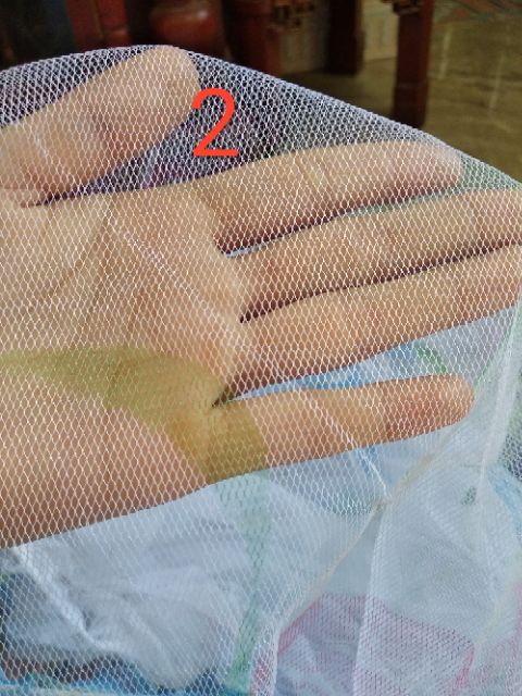 Mùng Màn Chụp Võng Xếp Cho Bé