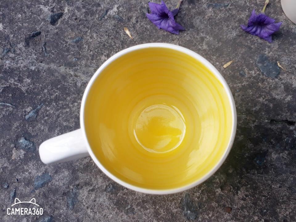 [HCM]Ly sứ hoa văn vàng