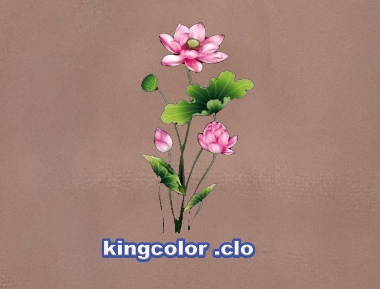 BEATIFUL LOTUS FLOWER