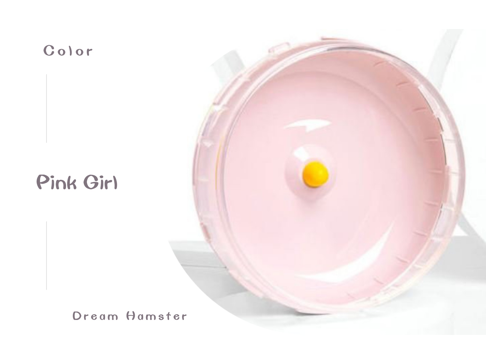 Wheel Carno 21cm cho Hamster - Special Color