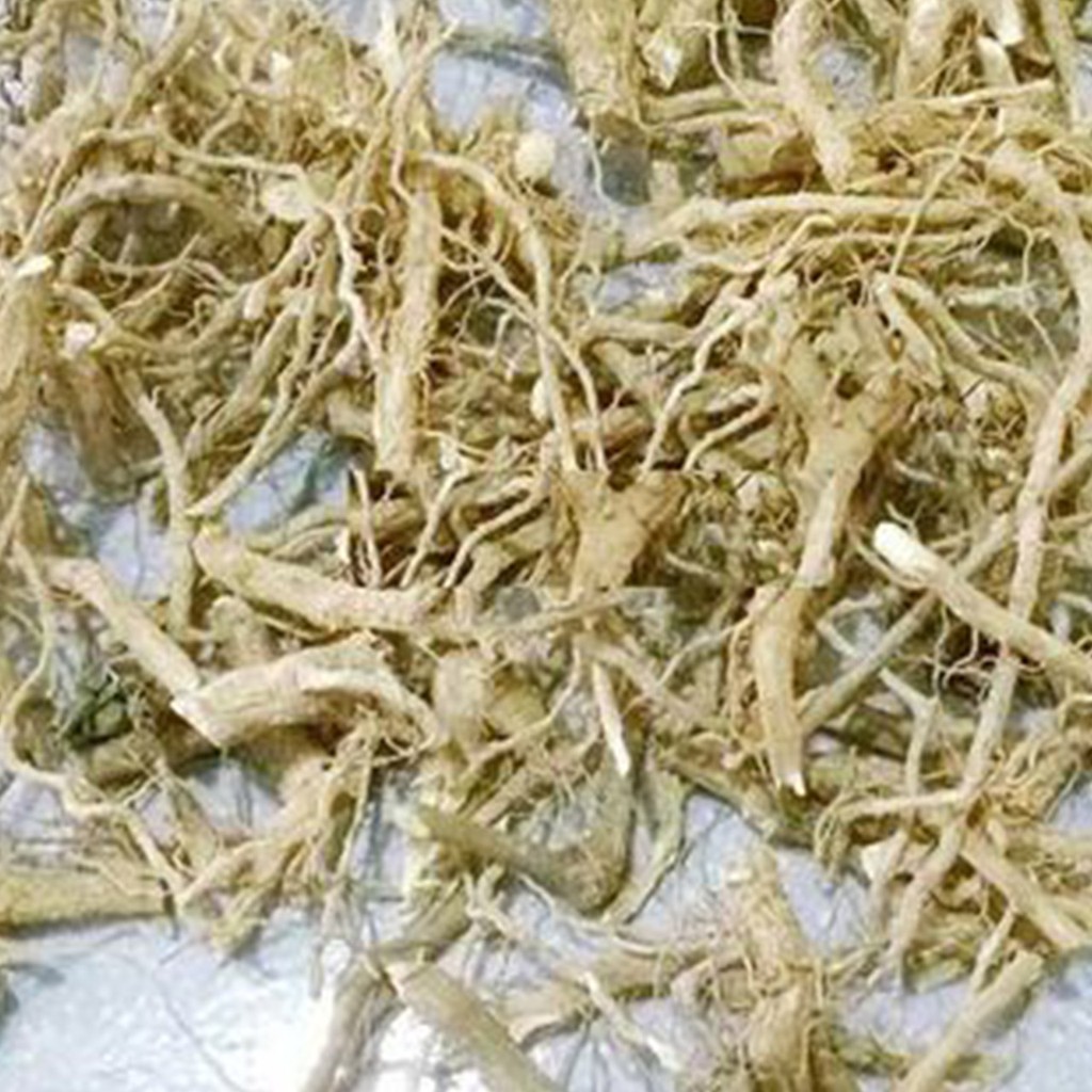 Cà gai leo 1kg