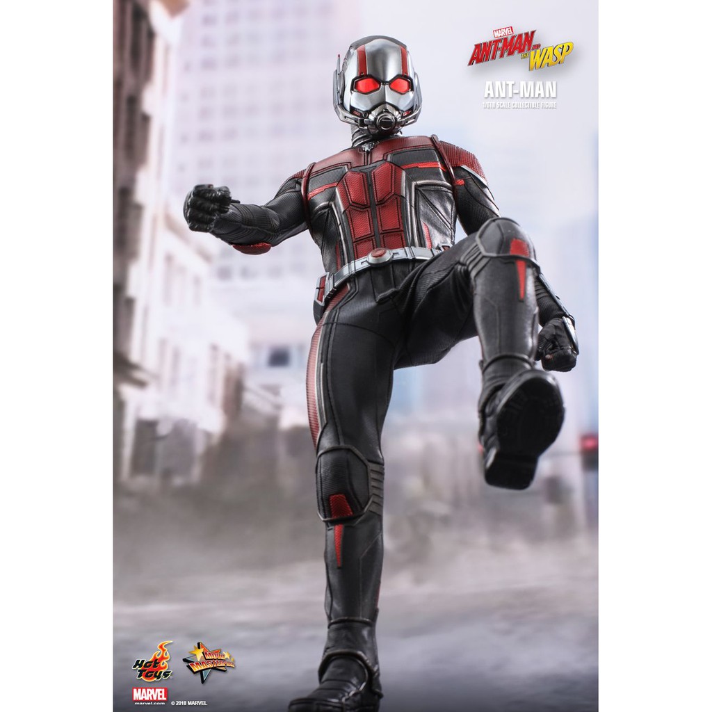 [HCM][Order báo giá] Mô hình chính hãng Hottoys MMS497: Antman (Antman and The Wasp)