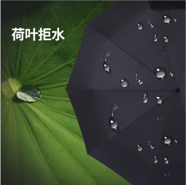 Ô có lớp chống tia UV hai chiều tự động